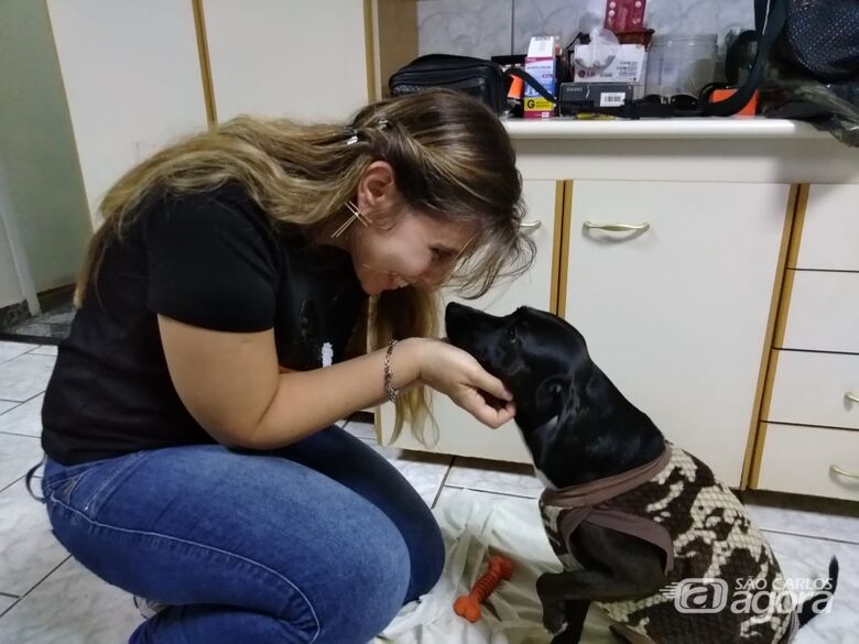 São Carlos possui lei que protege os animais contra fogos de artifício com barulho - Crédito: Marcos Escrivani