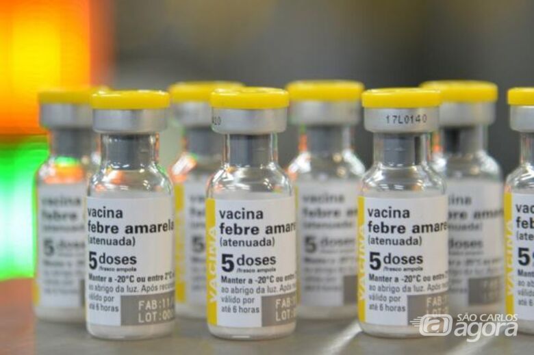 OMS alerta para possível 3ª onda de surto de febre amarela no Brasil - Crédito: Divulgação