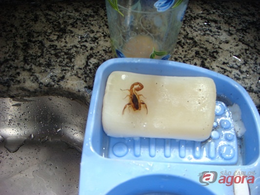 Foto enviado por leitor.