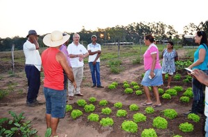 Foto: Divulga&ccedil;&atilde;o