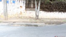A avenida Capitão Luiz Brandão, no trecho que compreende a rua Primo Lazarini e a rodovia Washington Luis, além de estar cheia de buracos e imperfeições no asfalto, também está tomada por vazamentos de água. A equipe de reportagem fotografou pelo menos q 