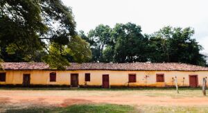 São Carlos libertou 3.726 escravos em 1888