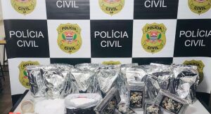 Dise apreende mais de 23 quilos de cocaína e prende mulher por tráfico em São Carlos