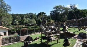 Parque Ecológico promove caça aos ovos com diversão e educação ambiental