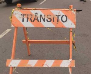 Centro terá vias interditadas para manutenção de árvores nesta terça-feira