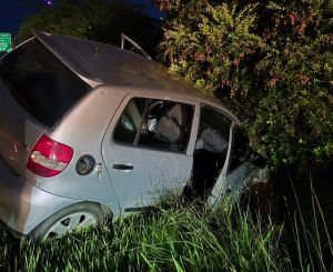 Motorista perde controle e veículo colide contra árvore em Ibaté
