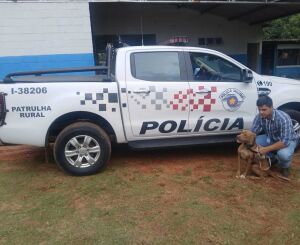 Patrulha Rural da Polícia Militar resgata pitbull abandonada na SP-215 
