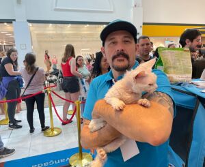 Shopping Iguatemi recebe 2&ordm; Encontro de gatos de raça raras 