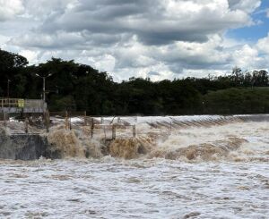 Piracema já registrou 70 infrações com R$ 121 mil em multas na região