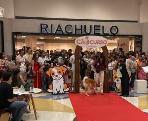 "Cão-curso" reúne pets e tutores em desfile no Shopping São Carlos