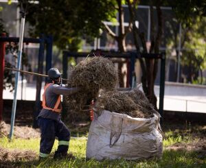 Mutirão leva limpeza, pavimentação e sinalização ao Cidade Aracy