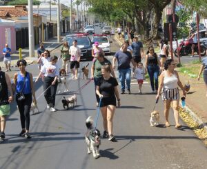 12ª Cãominhada acontece neste domingo na rua Larga