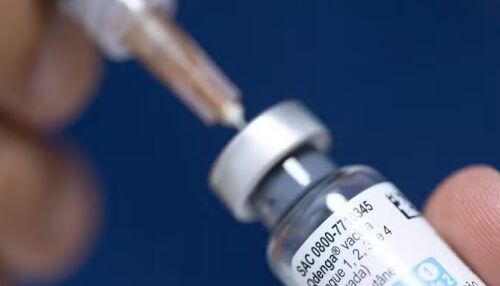 Dengue soma 98 casos neste ano; município não registra óbitos