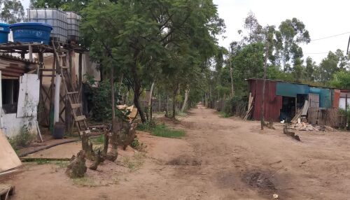 Assentamento Capão das Antas será oficializado com presença do Ministro Paulo Teixeira