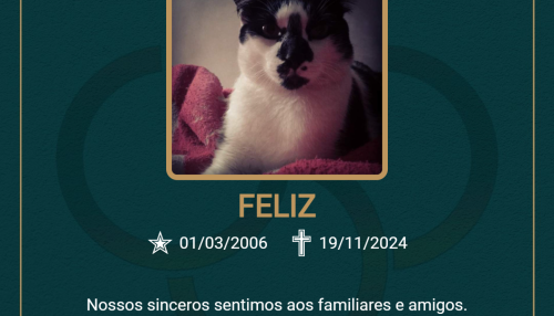 Homenagem do Grupo Santa Cruz ao pet Feliz