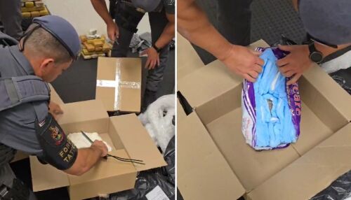 Força Tática desmantela quadrilha que despachava drogas pelo Correios