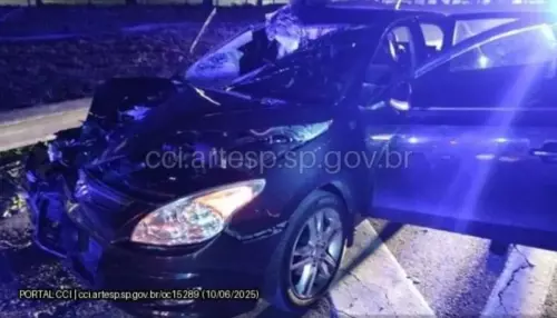 Duas pessoas morrem em atropelamento na SP-330