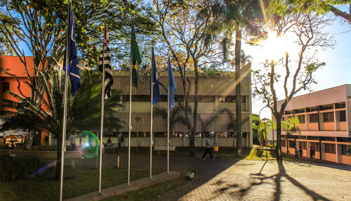 ICMC da USP oferece 80 bolsas integrais para curso online de Análise de Dados com Python