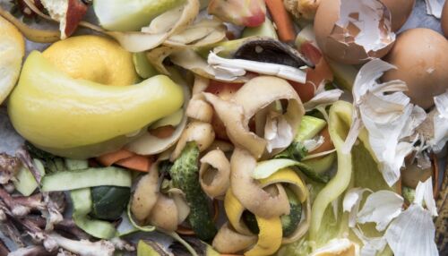 Projeto usa resíduos para impulsionar transição energética na UFSCar