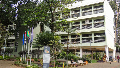 Evento na USP prepara estudantes para processos seletivos de grandes empresas da área de 