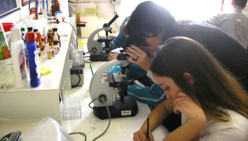 Clube de Ciências do "Espaço Interativo de Ciências" (EIC) abre temporada 2026