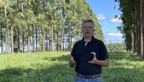 Pesquisadores da Embrapa participam de grupo consultivo técnico da FAO