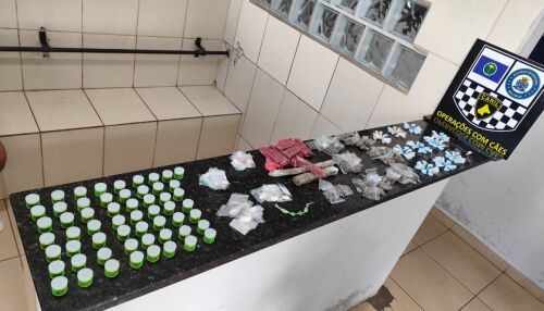 Adolescentes são detidos com celulares furtados e Canil da GCM localiza drogas no São Carlos 5