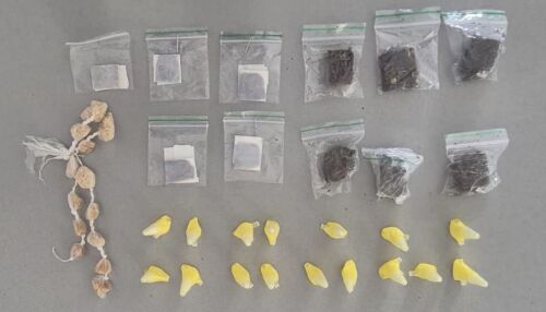 Guarda Municipal apreende drogas escondidas em micro-ônibus no Jardim Cruzado, em Ibaté