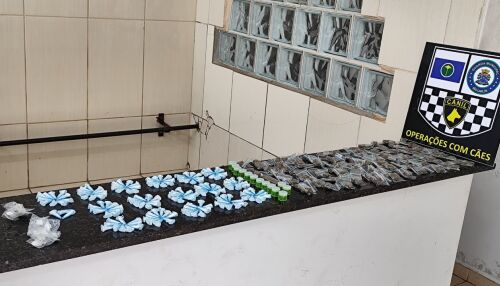 Canil da Guarda Municipal localiza grande quantidade de drogas no bairro São Carlos 5