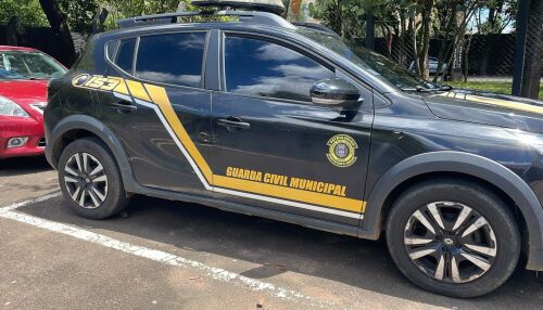 Mulher sem CNH é detida por desacato após perseguição  