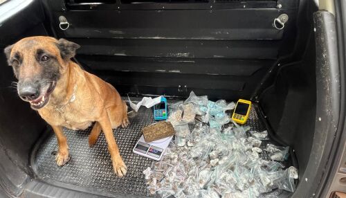 Equipe do Canil do BAEP localiza drogas durante operação no CDHU 