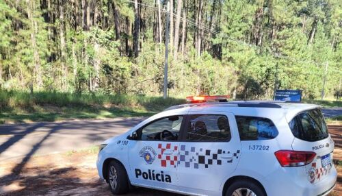 Homem é preso por violência doméstica após agressão em Itirapina