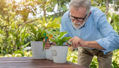 CDCC/USP convida o Público 60+ para atividades presenciais do Programa Cultural