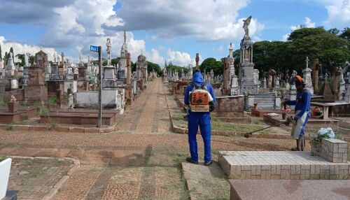 Cemitérios públicos recebem serviços de limpeza e manutenção em São Carlos