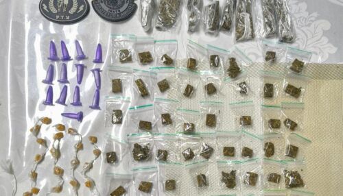 Guarda localiza drogas escondidas em área de mata no bairro Antônio Moreira