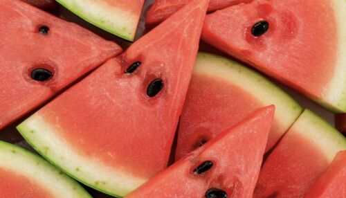 Melancia tem queda de quase 50% no ano e é destaque da semana na Ceagesp