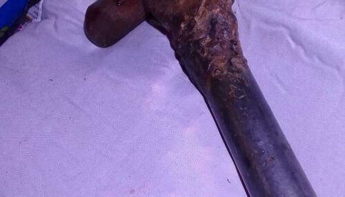 Mulher é presa pela PM após agredir companheiro com golpes de martelo na região