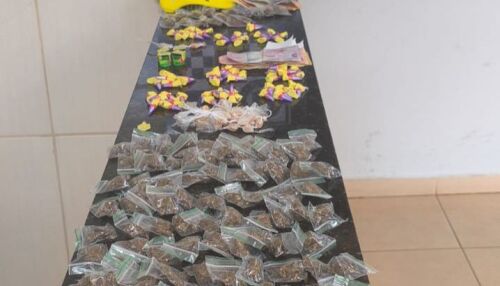 Canil da GCM apreende grande quantidade de drogas e detém dois adolescentes por tráfico no Aracy l