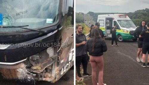 Ônibus do cantor Latino sofre acidente na SP-310