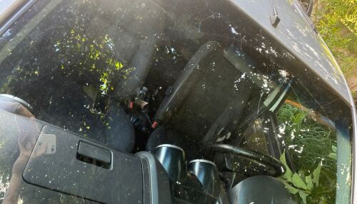 Galho de árvore cai sobre carro no Jardim Paulista