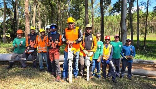 Ambiental Podas oferece soluções completas para manejo e preservação de árvores