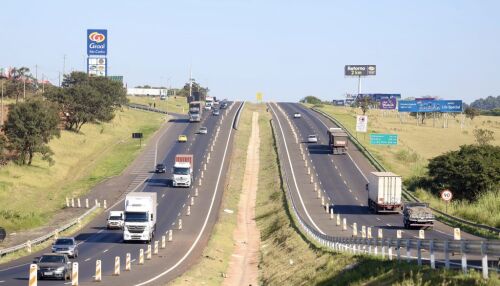 Condutor relata atropelamento na rodovia Washington Luís, mas vítima não é localizada