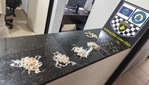 Canil da GCM encontra drogas em praça no Jardim Ricetti 