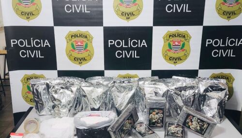 Dise apreende mais de 23 quilos de cocaína e prende mulher por tráfico em São Carlos