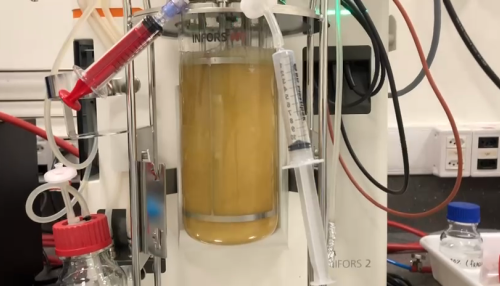 Pesquisa da UFSCar aposta em baterias de zinco e biossíntese para armazenamento de energia mais sustentável