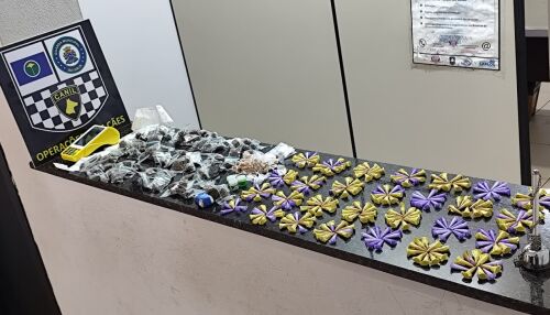 Canil da Guarda Municipal localiza drogas no Planalto Verde