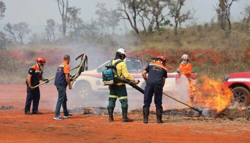 Defesa Civil de São Carlos participa de capacitação da Operação SP Sem Fogo para período de estiagem