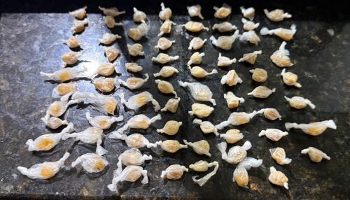 Homem é preso pela PM ao tentar descartar crack de ônibus na SP-215 em Dourado 