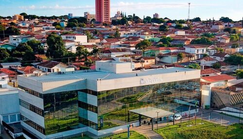 Prefeitura realiza audiência pública para discutir Plano de Arborização Urbana