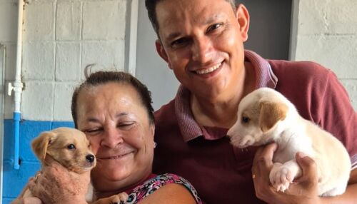Feira de adoção garante novos lares para 15 animais e ultrapassa 200 adoções em 2026